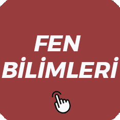 5. Sınıf Fen Bilimleri Soru